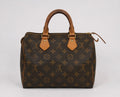 Louis Vuitton Speedy 25 monogram