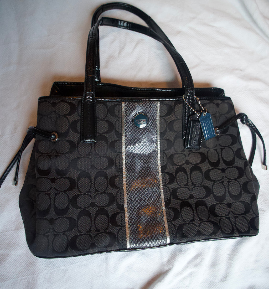Coach Stripe Phython Tote Bag