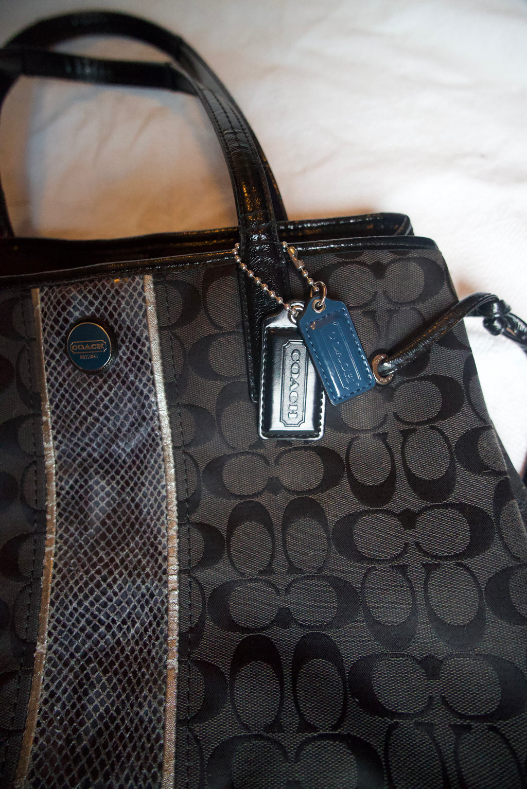 Coach Stripe Phython Tote Bag