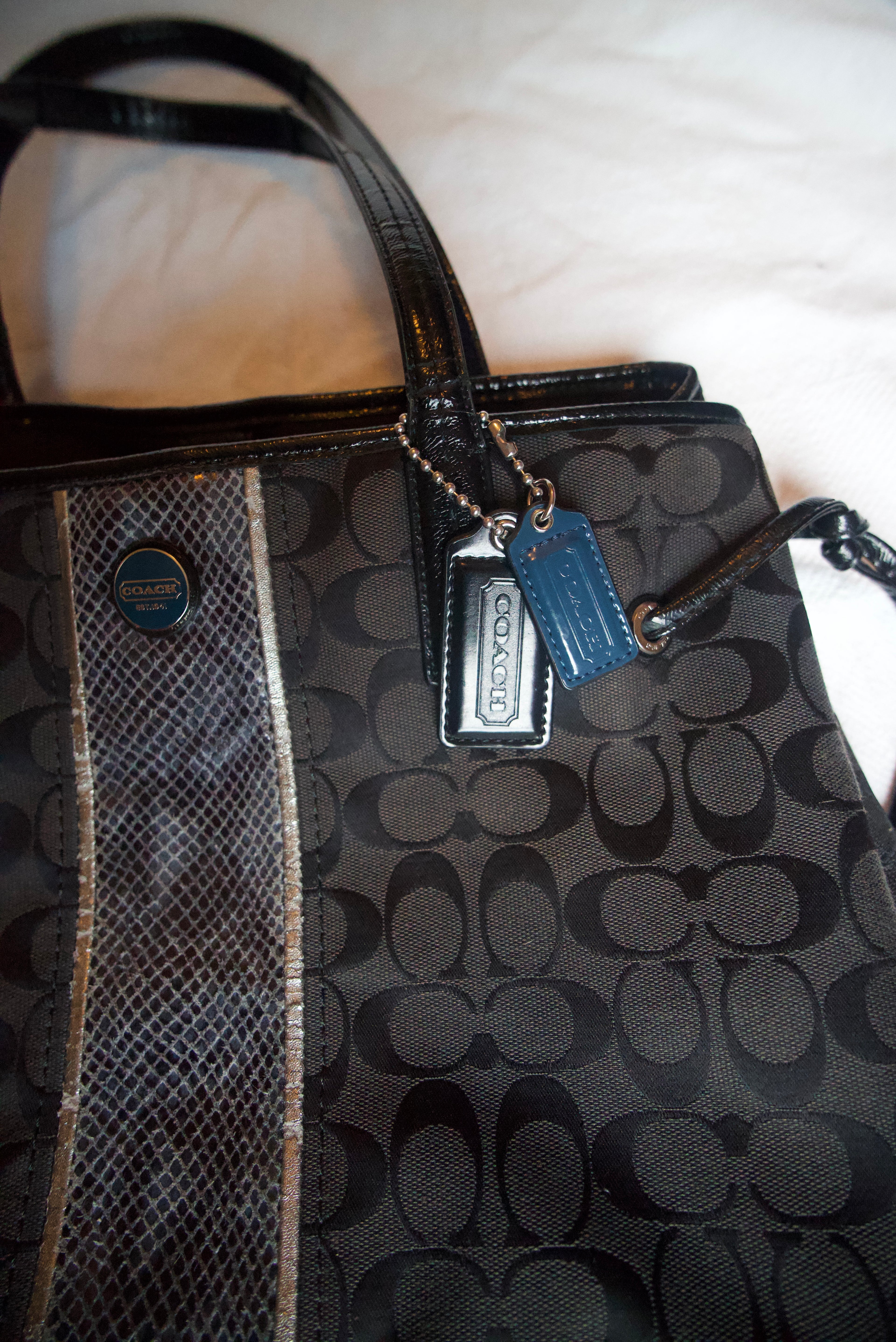 Coach Stripe Phython Tote Bag