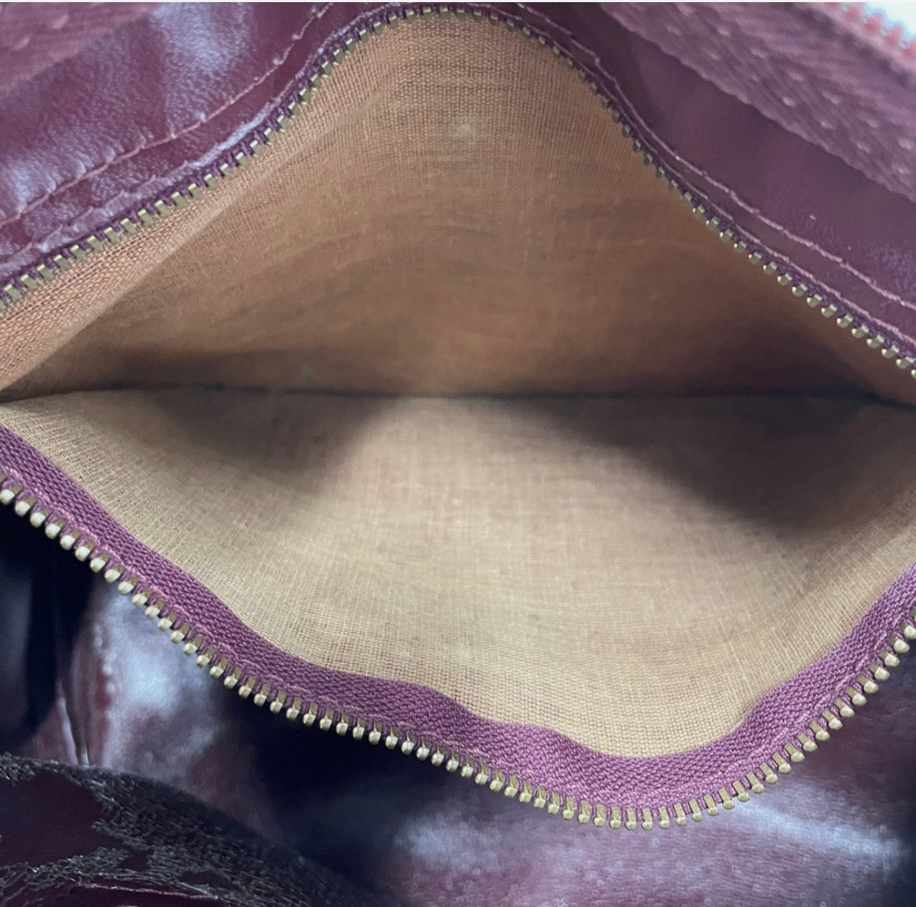 Christian Dior Bordeaux Trotter Bag